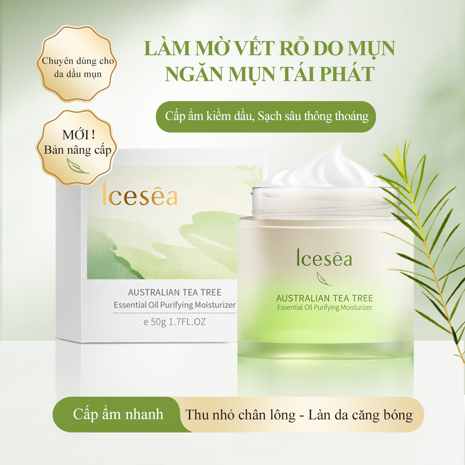 Roman Chamomile Extract Moistu