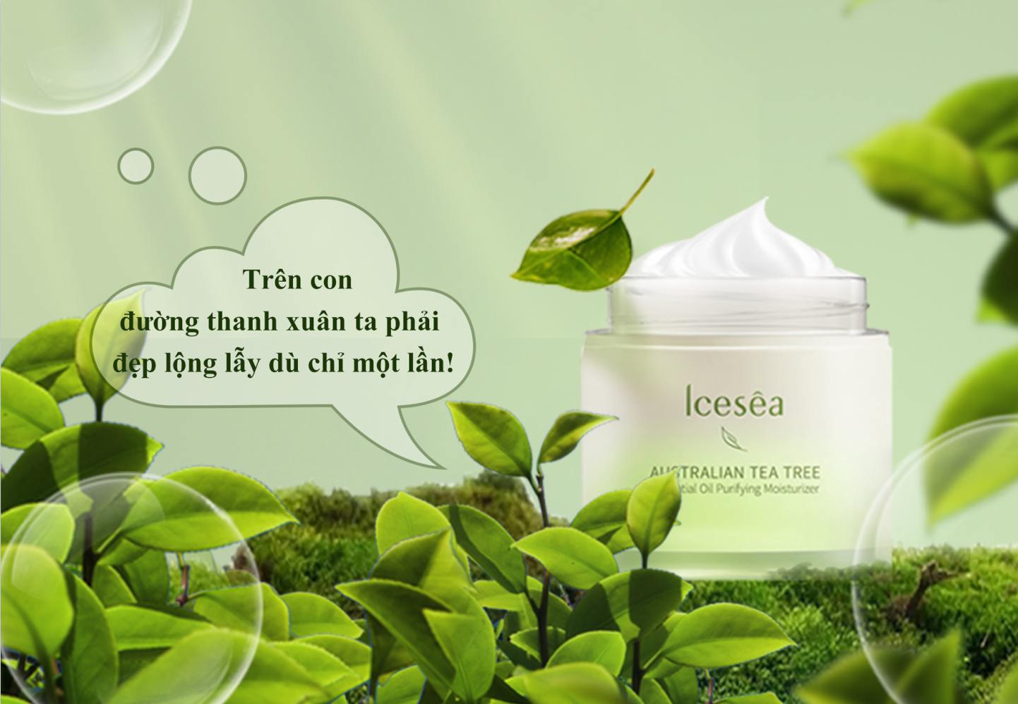 Sản phẩm kem dưỡng T